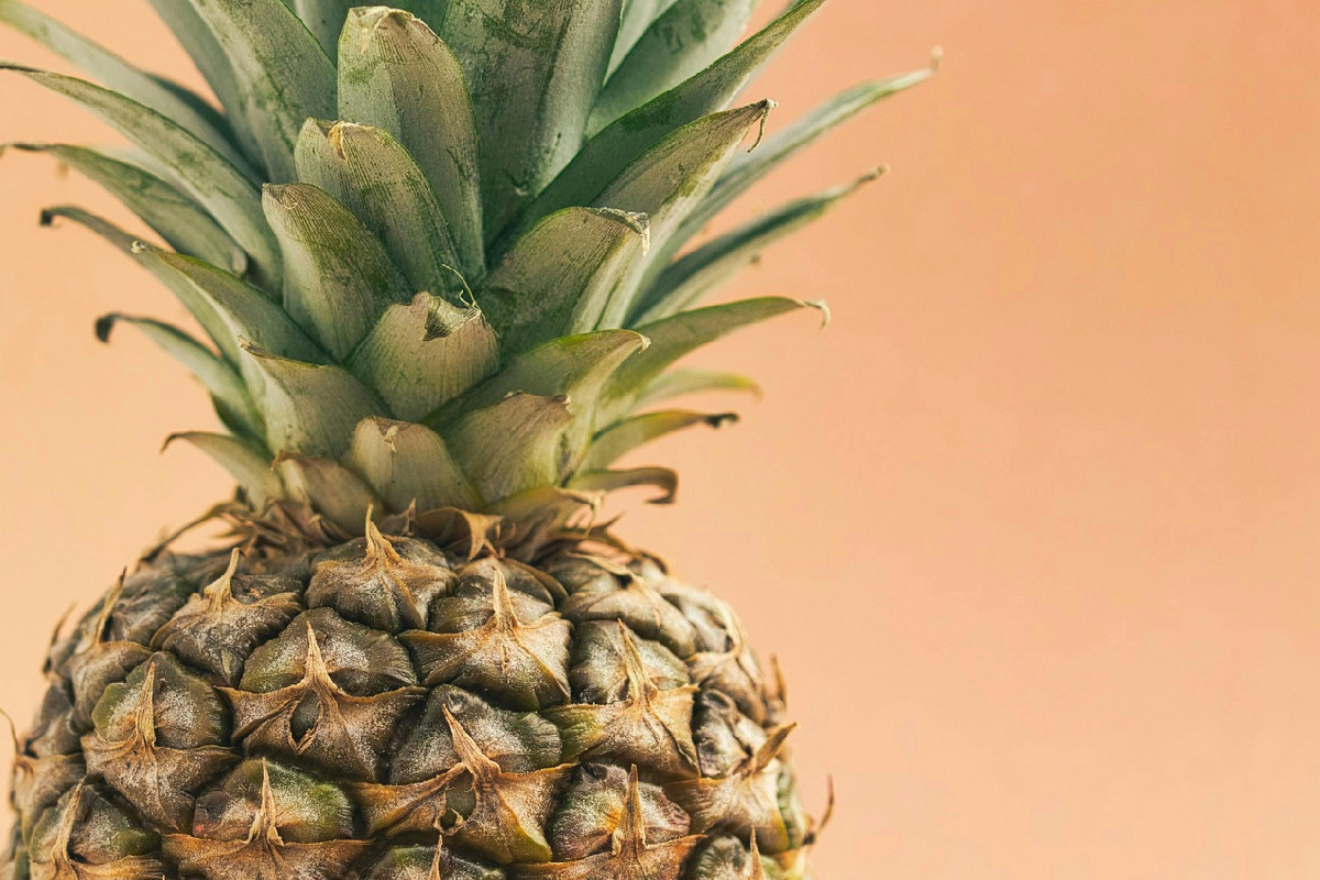 Il ciuffo dell’ananas: come coltivare una pianta esotica in casa senza costi aggiuntivi