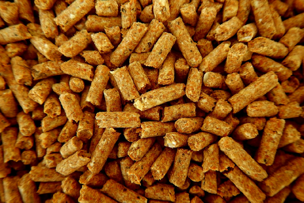 Durata reale di un sacco da 15 kg di pellet: quanto riscalda una stufa nell’inverno rigido