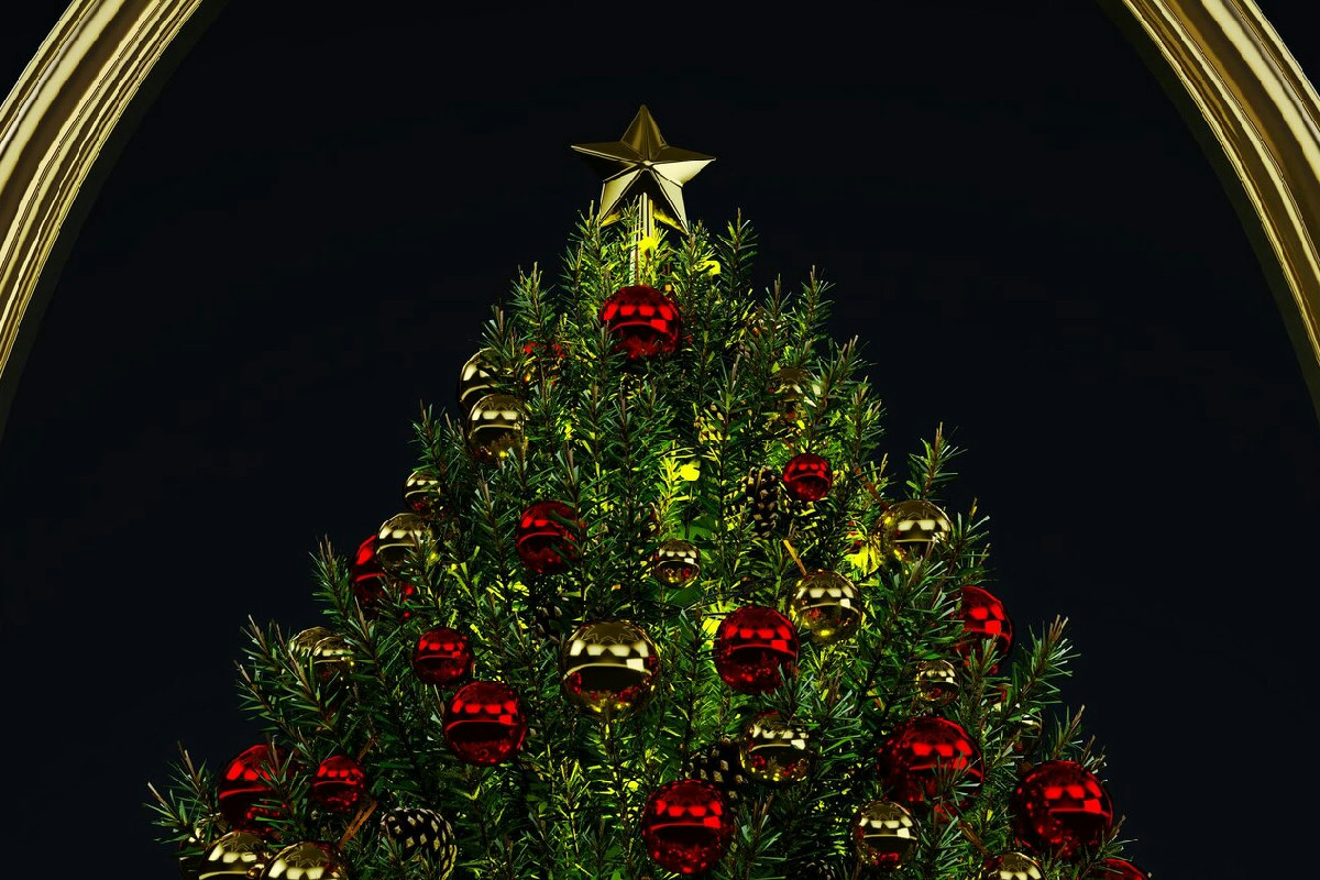 L’abete che mantiene le sue foglie verdi fino a gennaio: il segreto sorprendente svelato