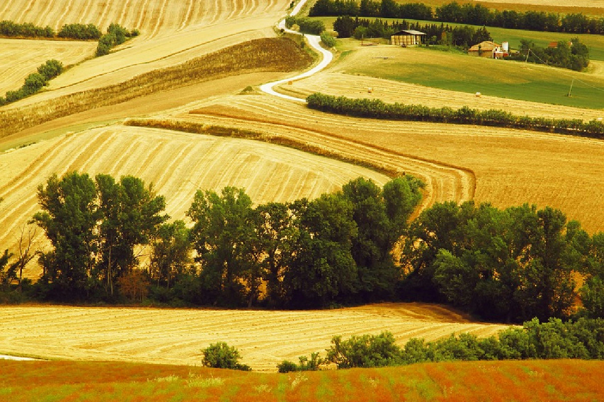 Le Marche da scoprire: i borghi più autentici e suggestivi dove vivere atmosfere senza tempo