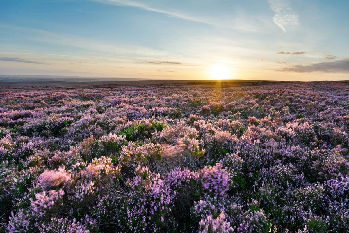 1️⃣ Paesaggi selvaggi e cieli stellati: l’incanto dell’isola di Rùm in Scozia d’inverno