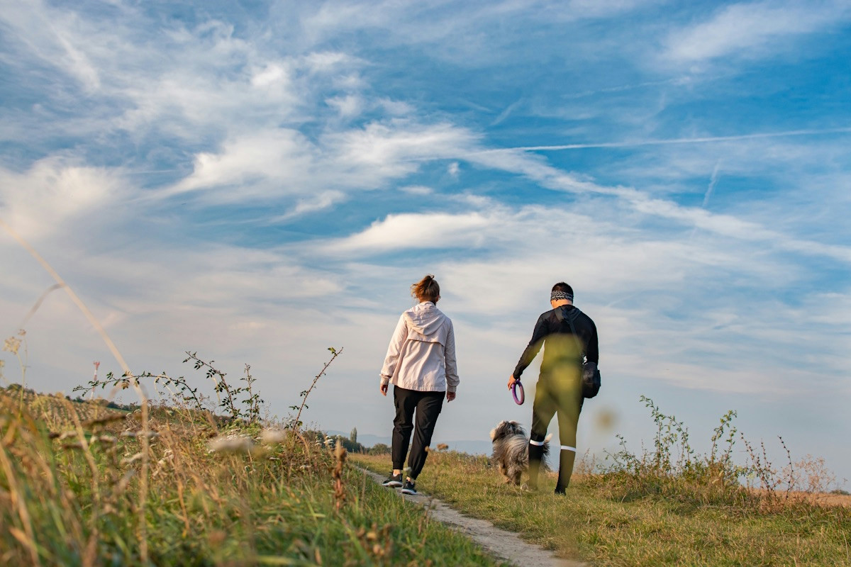 Cinque delle dieci città più vivibili al mondo si trovano in questo stato, meta ideale per cambiare vita