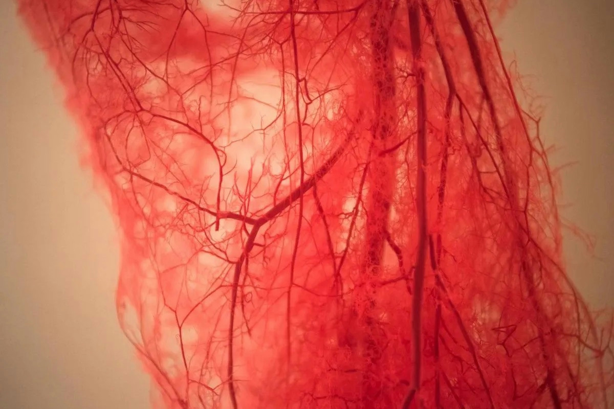 Qual è il vantaggio inatteso dell’unione tra aglio e latte durante le stagioni fredde?