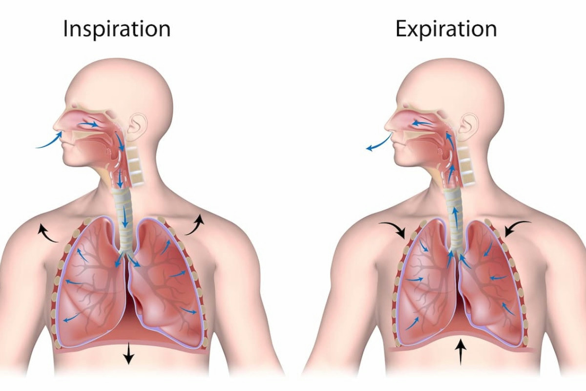 Schiena bloccata e stanchezza: l’attività da eseguire in 5 minuti prima che la mente trovi scuse